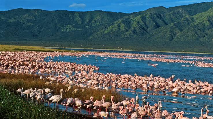 The Rift Valley escarpment above Lake Natron, Tanzania